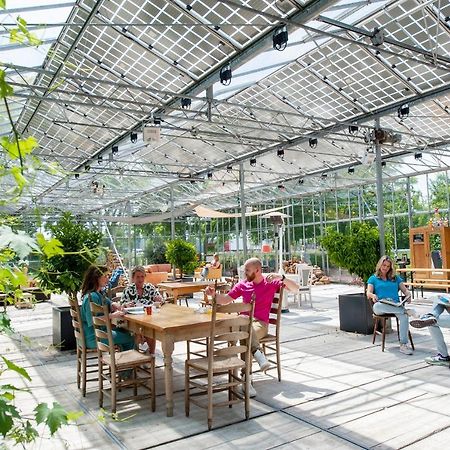 Achterhoeks Goed, Bed & Breakfast In Vragender Εξωτερικό φωτογραφία