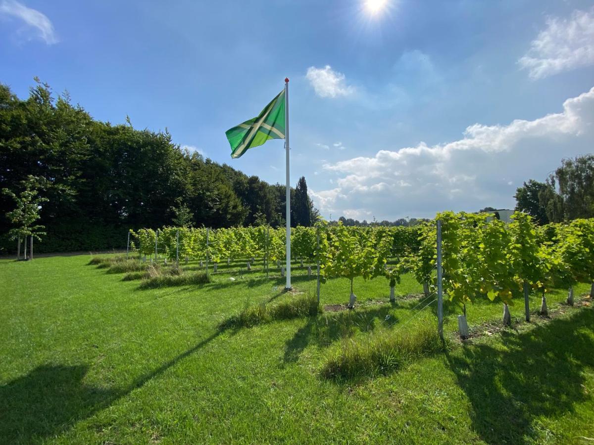 Achterhoeks Goed, Bed & Breakfast In Vragender Εξωτερικό φωτογραφία