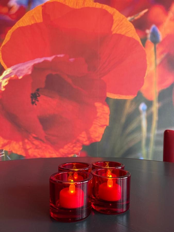 Achterhoeks Goed, Bed & Breakfast In Vragender Εξωτερικό φωτογραφία